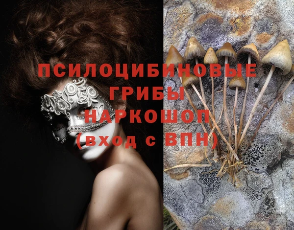 PSILOCYBIN Баксан