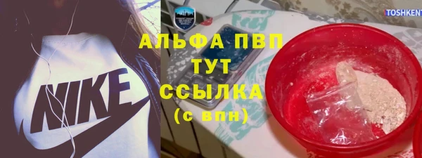 PSILOCYBIN Баксан