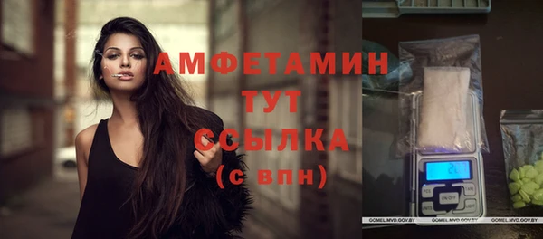 молекула духа Балахна