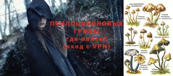 PSILOCYBIN Баксан