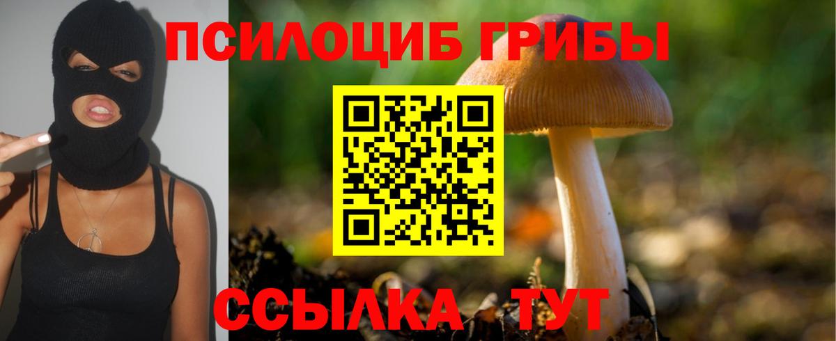Псилоцибиновые грибы Magic Shrooms Коммунар